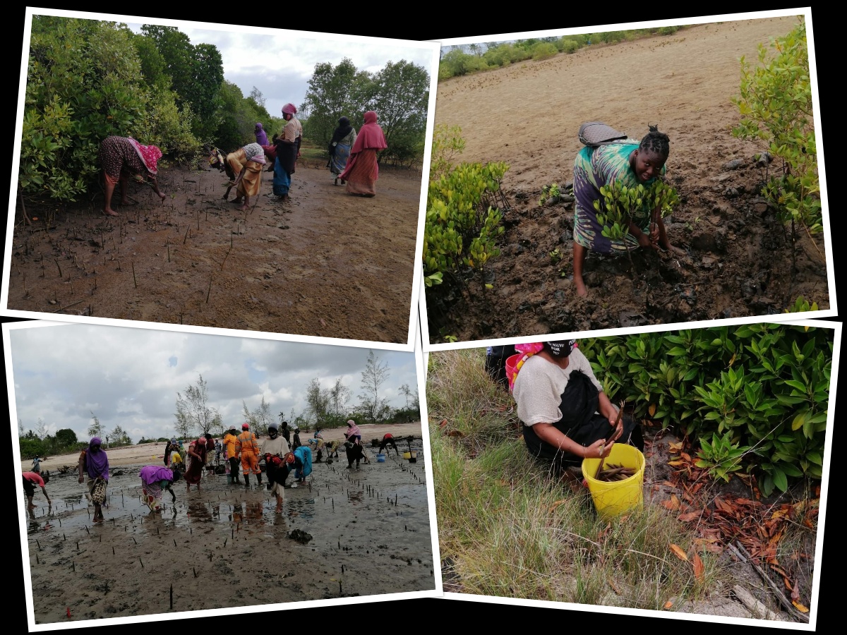 CANCO Celebration of World Fisheries Day