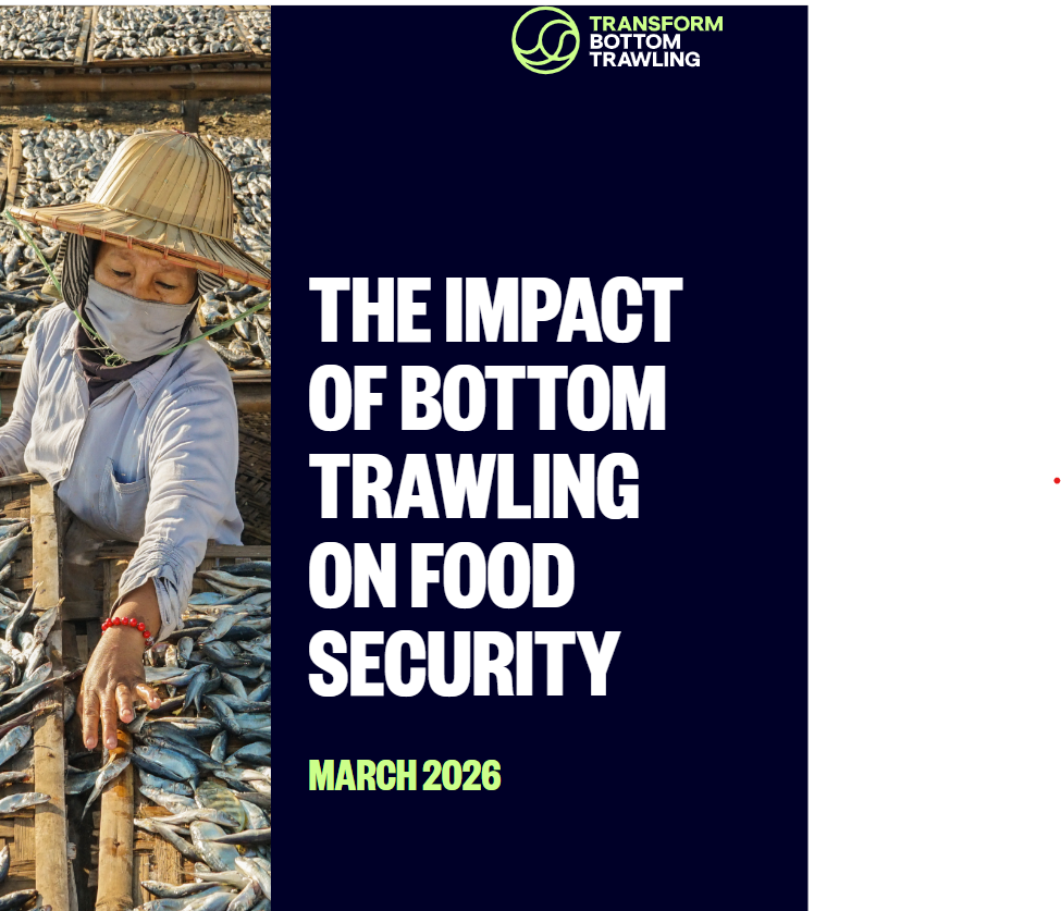 📢 New report launched: Bottom trawling and food security