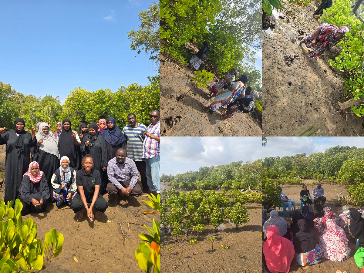 World Wetlands Day@2026